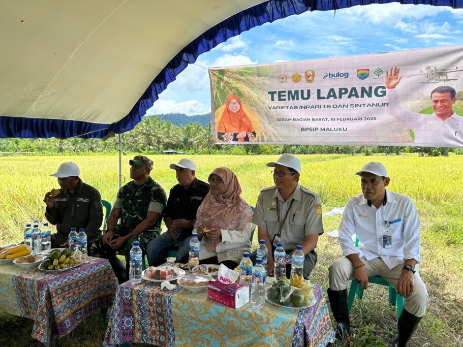 Saadiah Uluputty Serap Aspirasi Petani dan Panen Padi Unggul