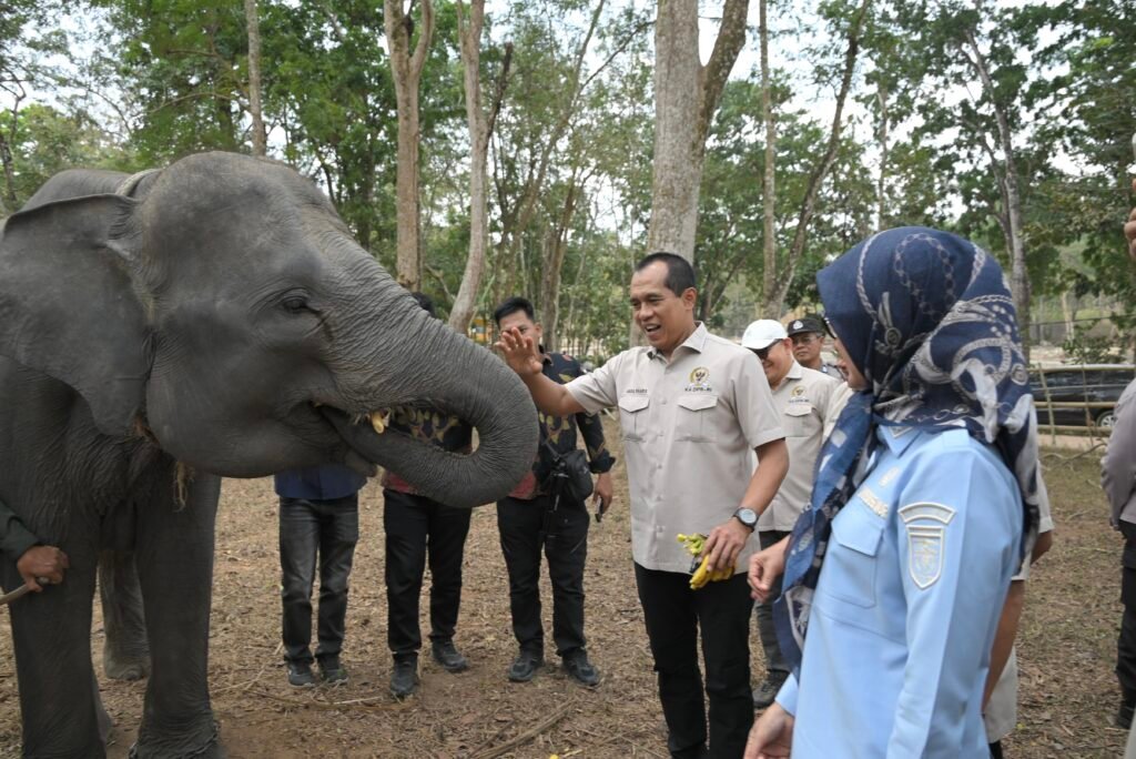 Tinjau Way Kambas, Komisi IV Dorong Penanganan Karhutla hingga Pemulihan Habitat Satwa